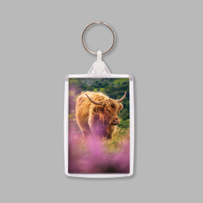 To buy a print or any of the below please click on the images